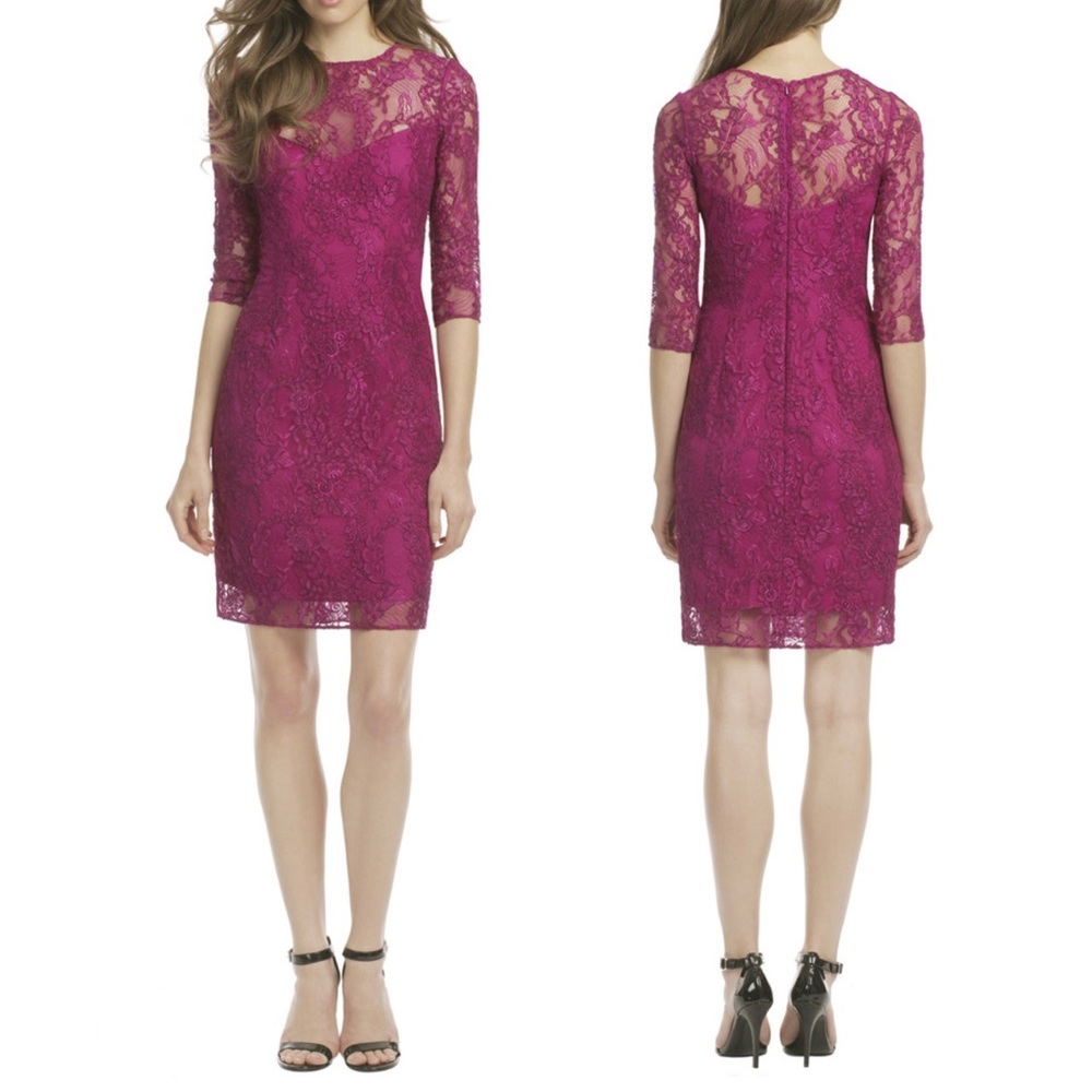Carmen Marc Valvo Botanical Berry Lace Dress 14